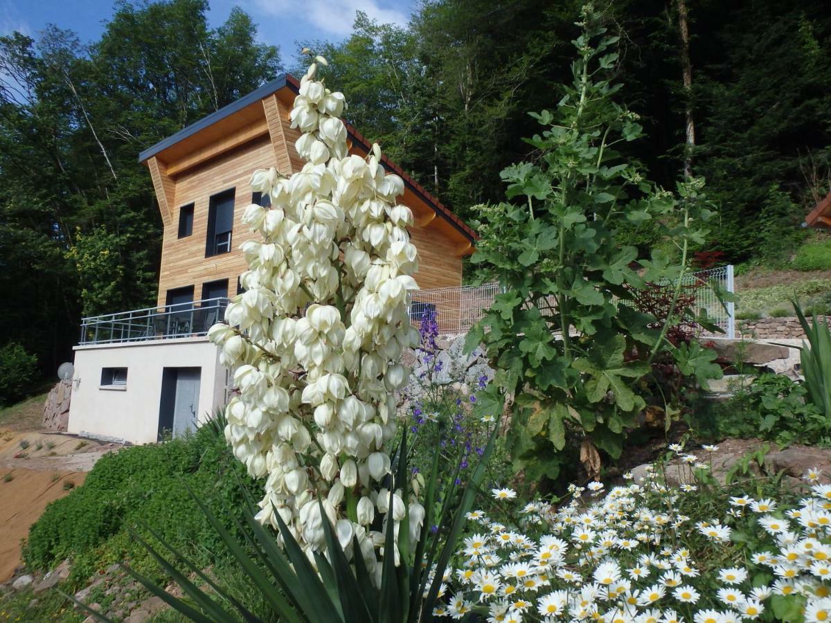 Villa Cora Venez à Saint-Bresson Extérieur photo